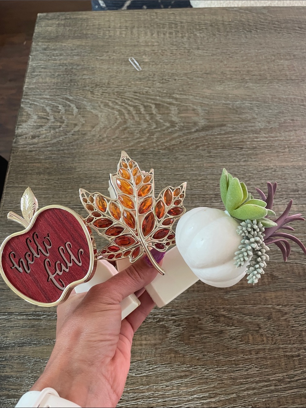 Fall Decorative Wallflowers White Pumpkin, Amber Leaf & Red Apple Set